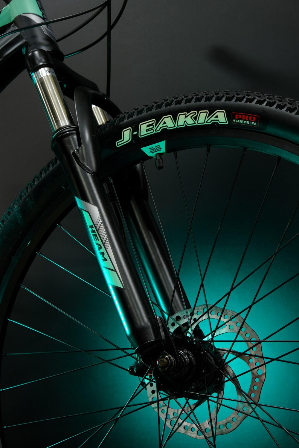 Heam Omega 100 Чёрно/Бирюзовый