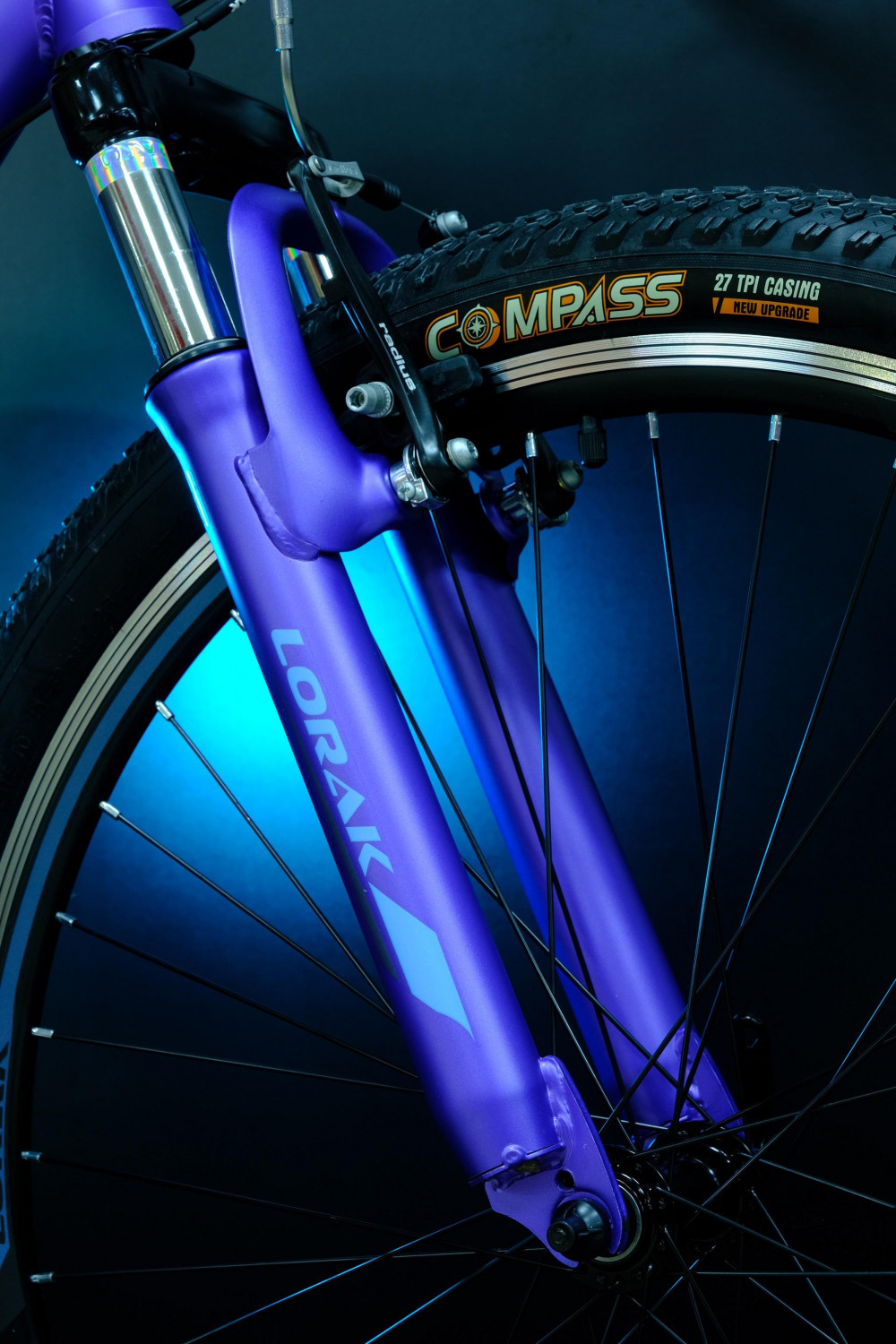 Lorak Glory 4 Матовый Фиолетовый/Голубой рама 15 (на рост 141-160)